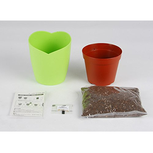 Books Kinokuniya: Four-leaf Clover Cultivation Kit / SEISHIN JAPAN