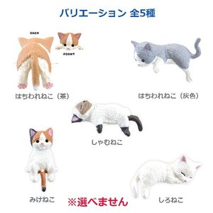 ラブリーcat Books Kinokuniya: Playful Cat in Blindbox / 70738 (4589469838950)