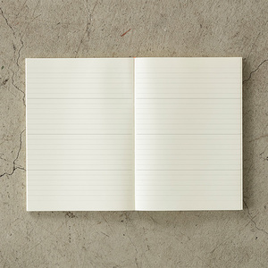 Midori　WD80EFAX② Midori 5 Pocket Clear Folder A4 - Pink