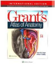 Grant's Atlas of Anatomy 第8版 Grant's ATLAS OF ANATOMY 第8版