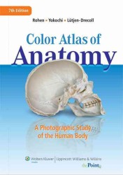 Books Kinokuniya: Color Atlas of Anatomy : A Photographic Study of