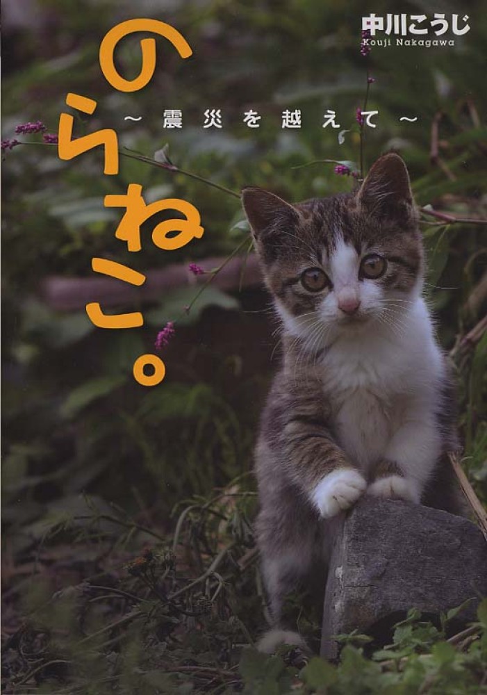 のらねこ Books Kinokuniya: のらねこ。〜震災を越えて〜 / 中川こうじ