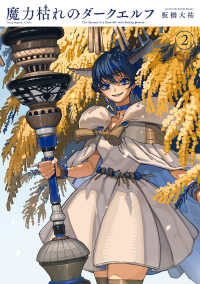 The Journey of a Dark Elf with Fading Powers 2