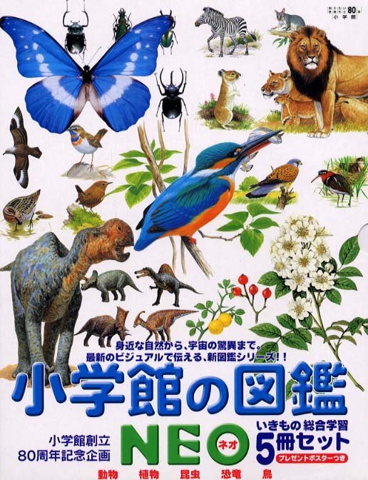 図鑑NEO 基本 5冊セット |本 | 通販 | Amazon