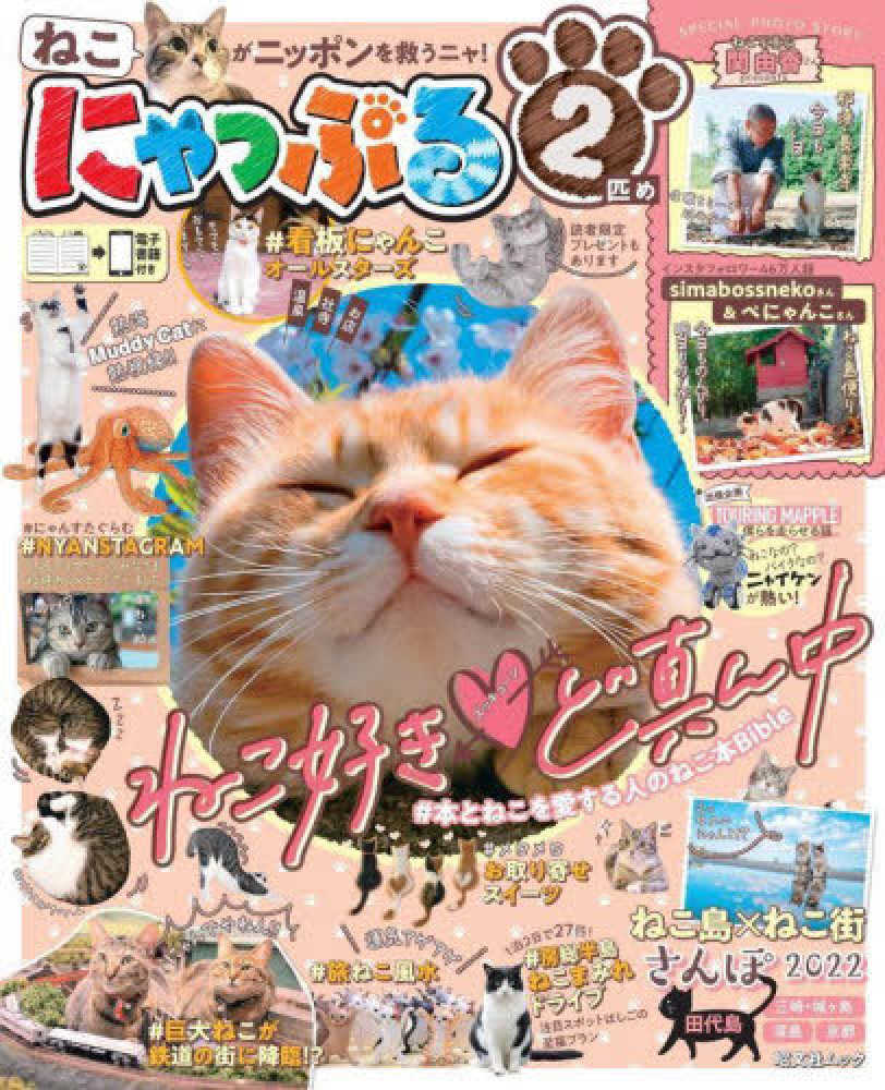 イエジー・スコリモフスキDVD-BOX 廃盤　紀伊國屋書店 紀伊國屋書店|DVD-BOX|【ハードオフ公式通販】オフモール|1010390000038579
