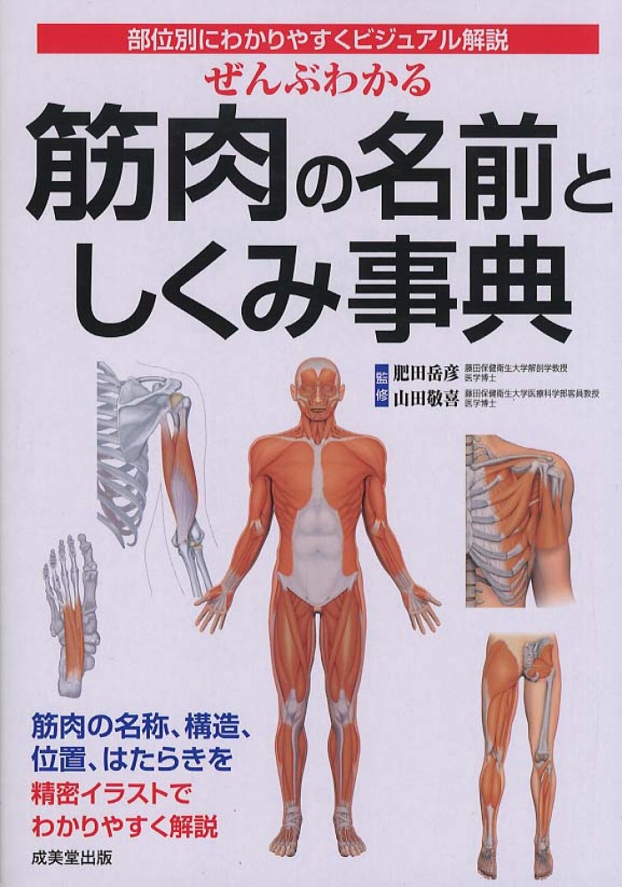 Books Kinokuniya: ぜんぶわかる筋肉の名前としくみ事典－部位別に
