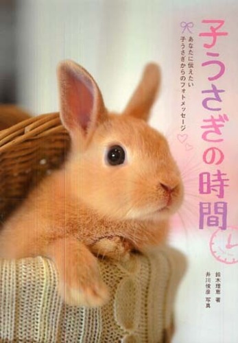 Books Kinokuniya: 子うさぎの時間－あなたに伝えたい子うさぎ