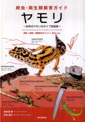 ヒルヤモリの飼育図鑑　洋書 ドイツ語 Phelsuma Books Kinokuniya