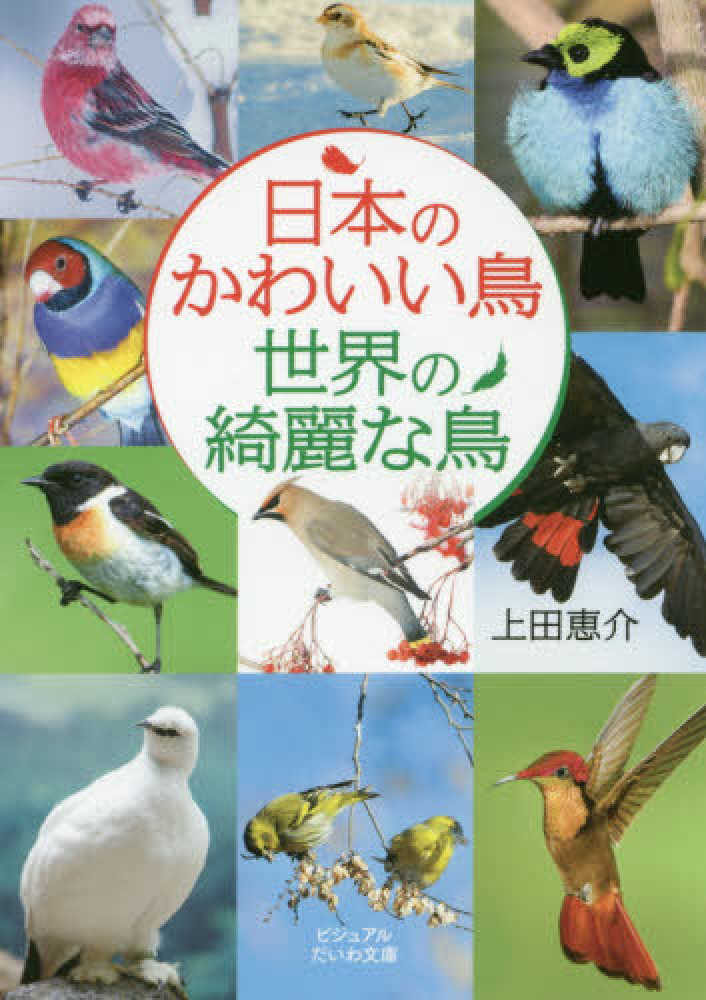 Books Kinokuniya: 日本のかわいい鳥世界の綺麗な鳥 （ビジュアル