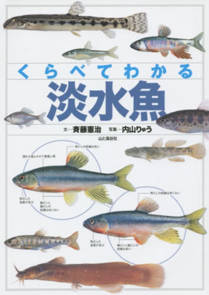 Books Kinokuniya: くらべてわかる淡水魚－識別ポイントで見分ける