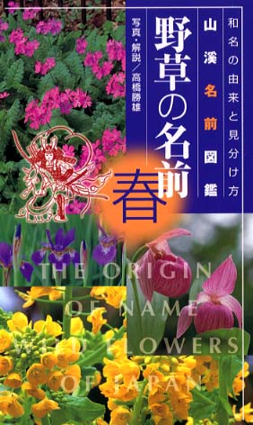 Books Kinokuniya: 野草の名前<春>－山溪名前図鑑 / 高橋勝雄