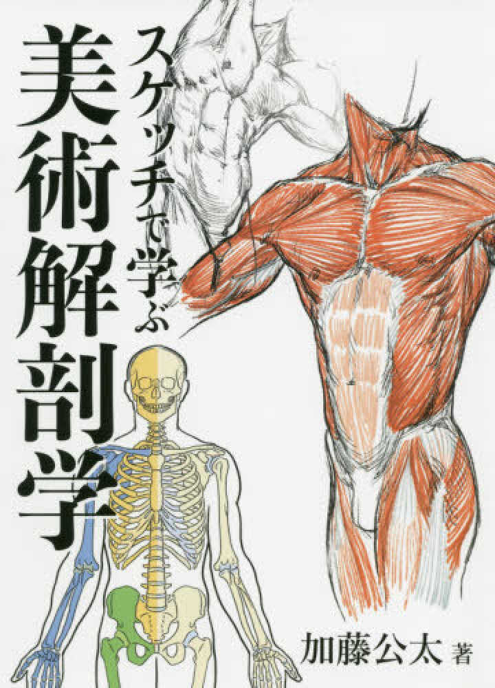 ドーロの美術解剖学 講義録 加藤公太訳 ドーロの美術解剖学 講義録 加藤公太訳-新作