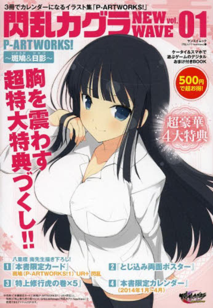 イラスト集 + A4クリアファイル　閃乱カグラ　PBS イラスト集　店舗限定特典 イラスト集 + A4クリアファイル 閃乱カグラ PBS イラスト集 店舗