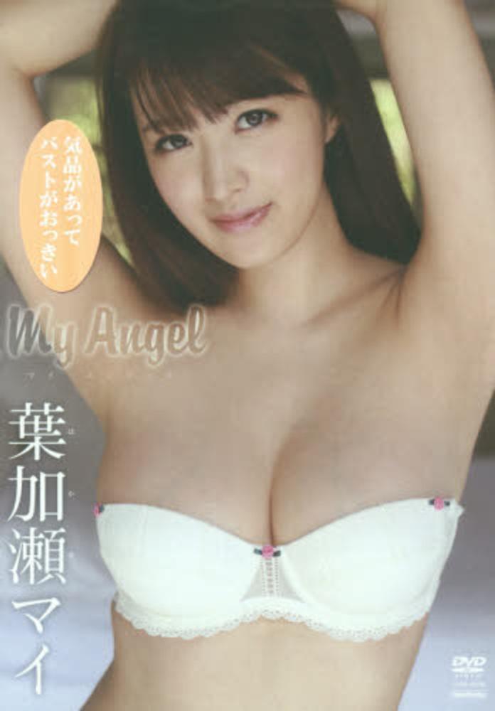 Books Kinokuniya ｄｖｄ 葉加瀬マイ ｍｙ ａｎｇｅｌ ｄｖｄ 葉加瀬マイ