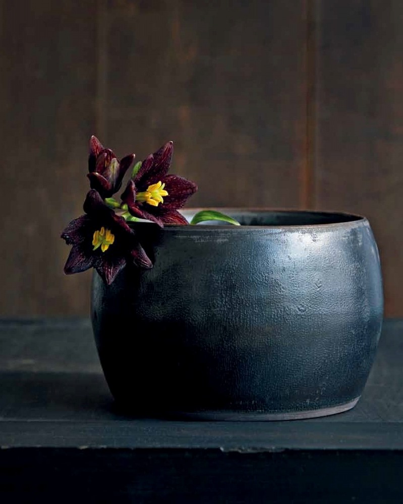 Books Kinokuniya Japanese Ikebana for Every Season / 今井理枝 上野雄次