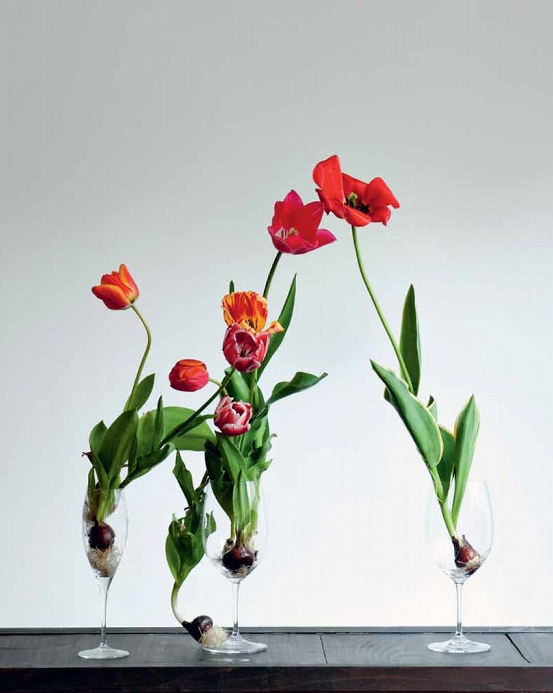 Books Kinokuniya Japanese Ikebana for Every Season / 今井理枝 上野雄次