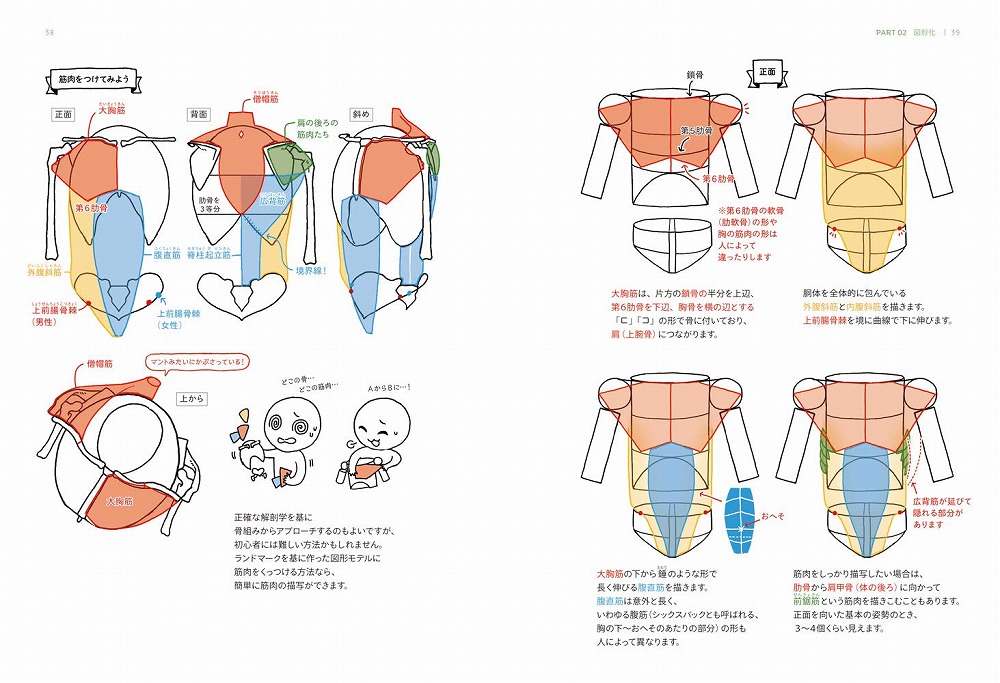 Books Kinokuniya 図形を使って立体的に描く ポ ジング チュ トリアル 魅力的なポ ズ作りの基本 パク リノ 金智恵