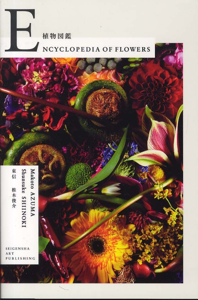 紀伊國屋網路書店 植物図鑑 東信椎木俊介