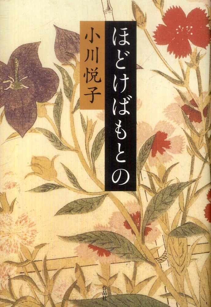 ♥美健ガイド社小冊子11冊 公式】美健ガイド社 3代先の子どもたちのために