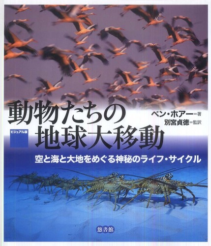 Books Kinokuniya