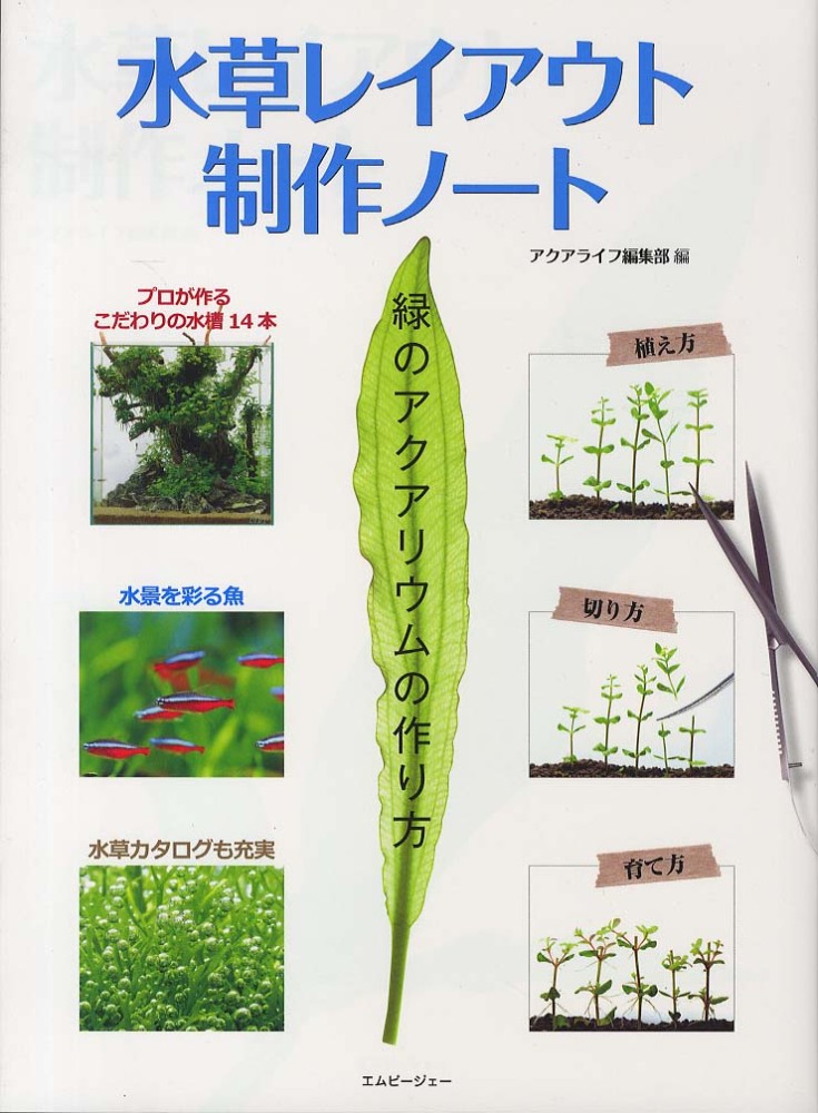 紀伊國屋網路書店 水草レイアウト制作ノ ト 緑のアクアリウムの作り方 アクアライフの本 アクアライフ編集部