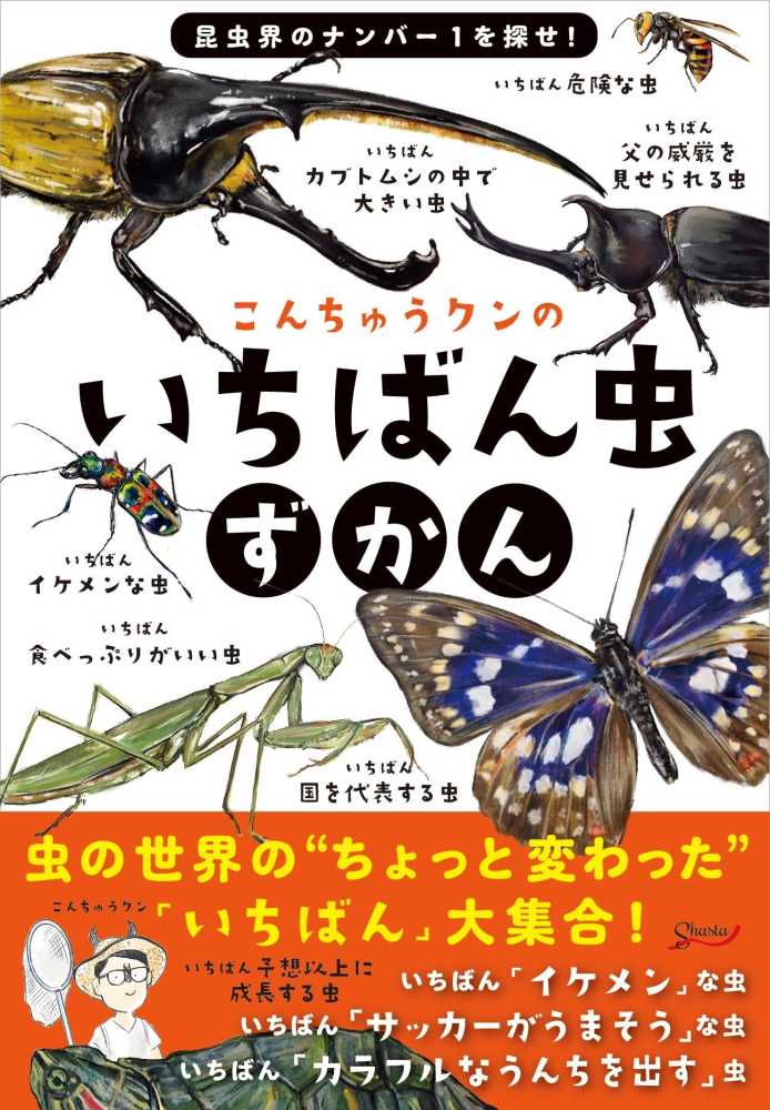 児童書セット かがく こんちゅう12冊セット 絵本・児童書