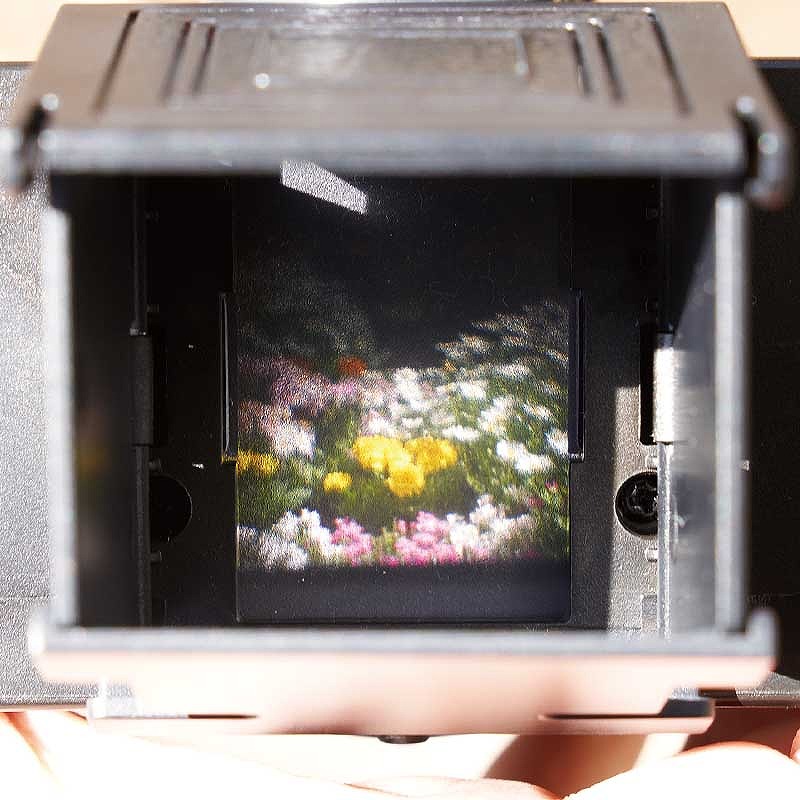 Books Kinokuniya 二眼レフカメラ35mm Film Camera BOOK （[バラエティ]） / (9784299014351)